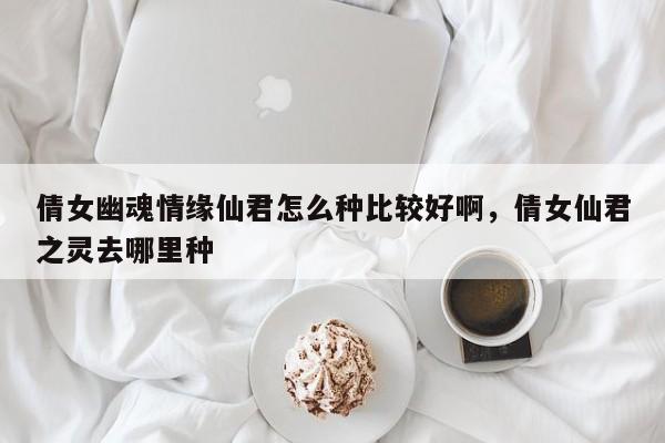 倩女幽魂情缘仙君怎么种比较好啊，倩女仙君之灵去哪里种
